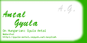 antal gyula business card